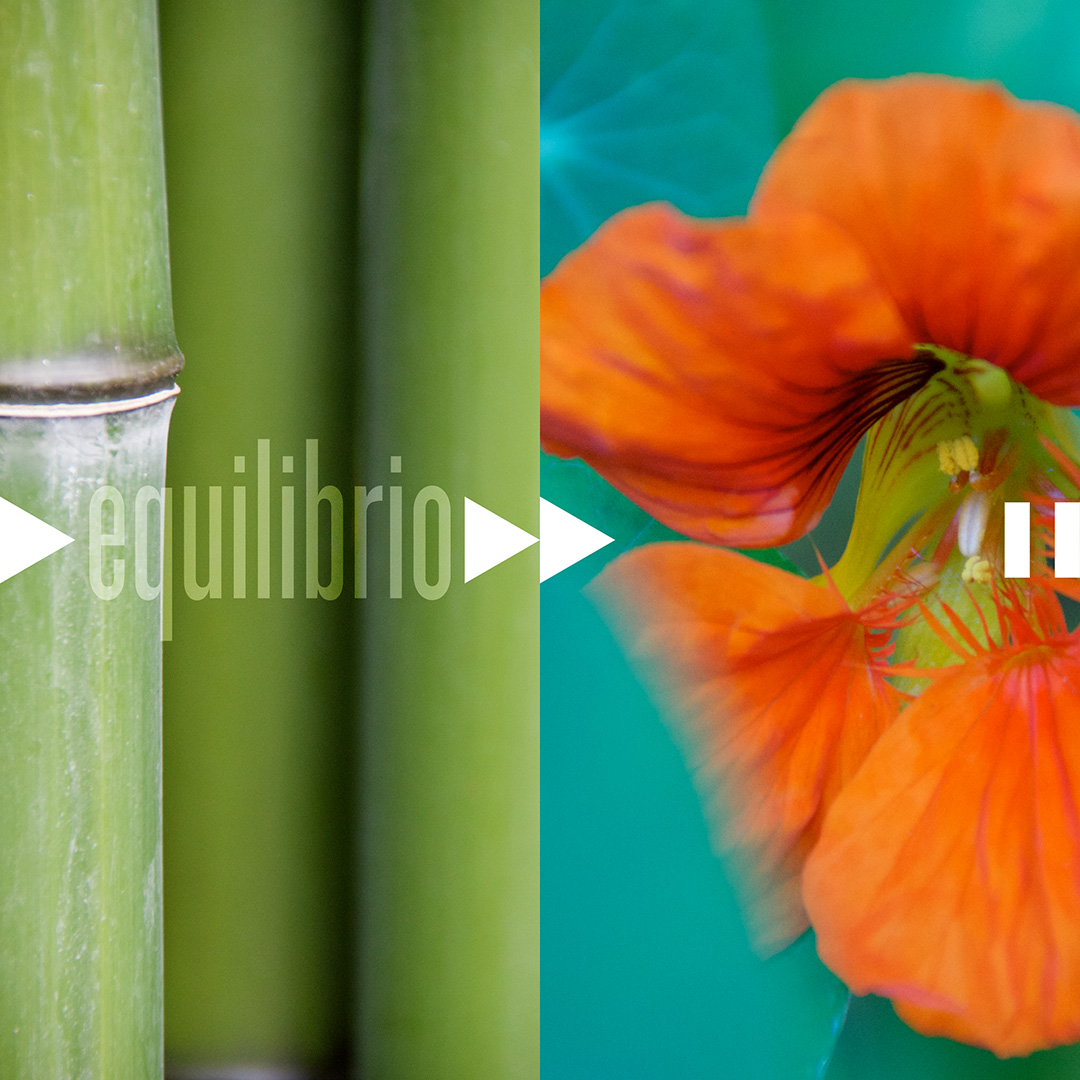 C-equilibrio
