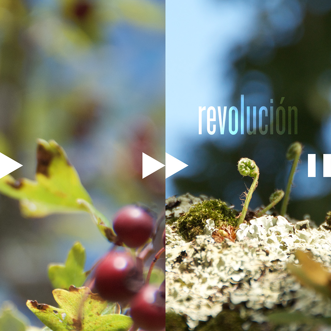 C-revolucion