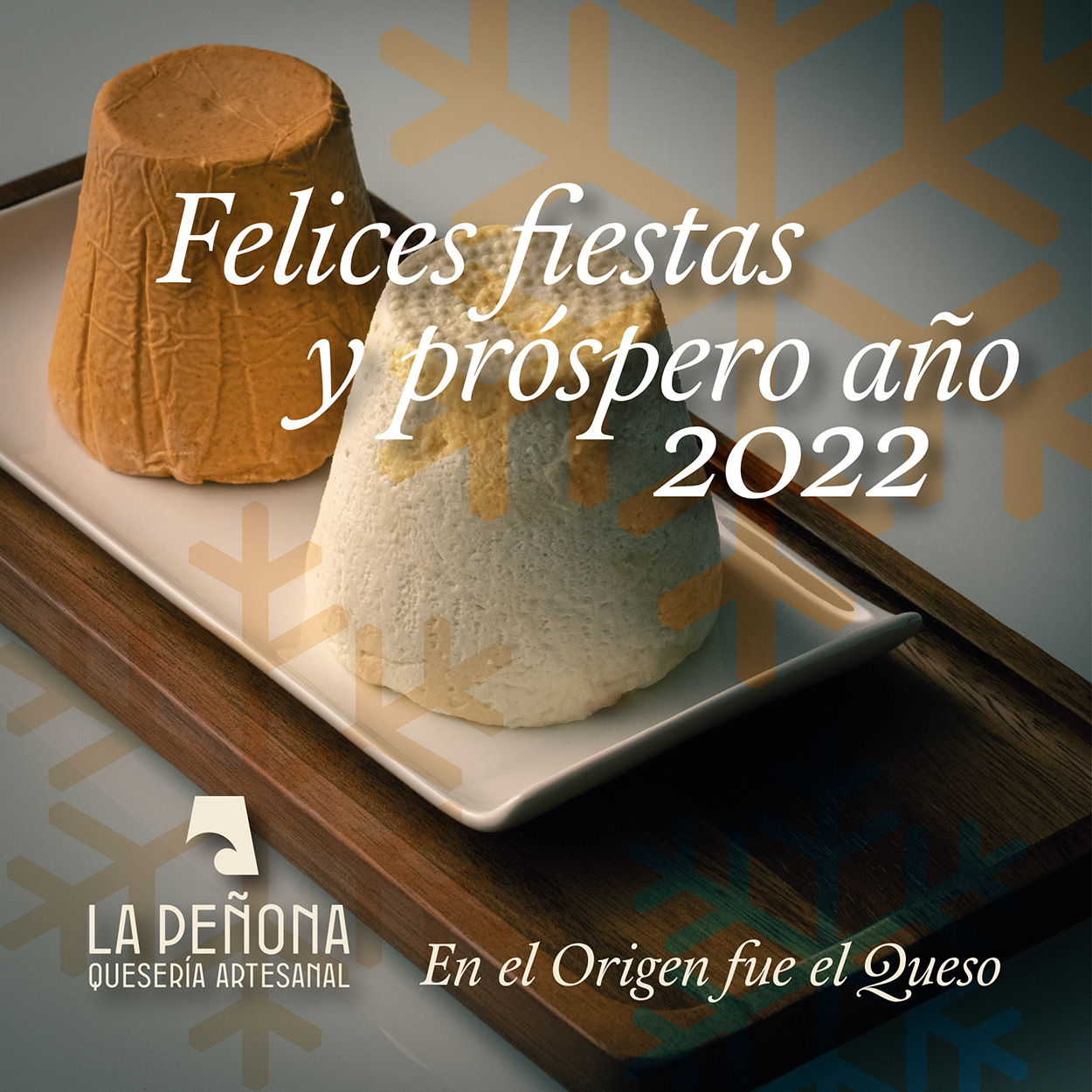 penona_2022_1250